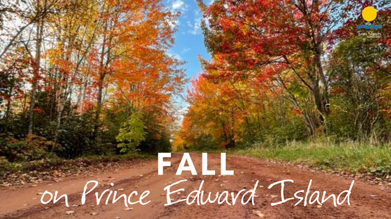 Why the Fall Season is the Best Time to Visit PEI